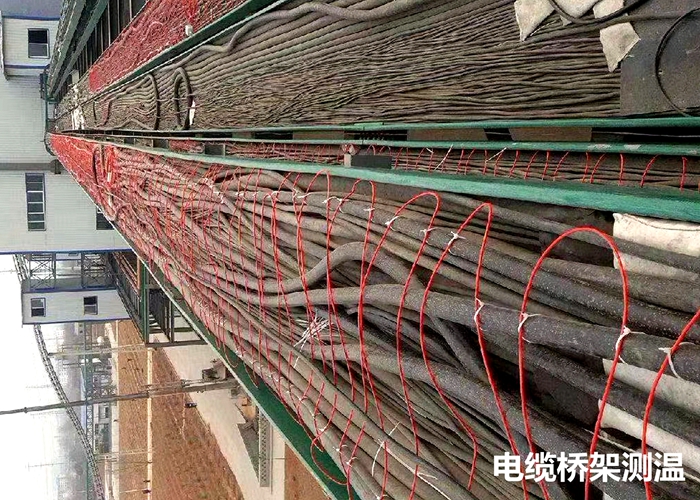 電纜橋架、電纜溝、電纜隧道溫度監測項目案例
